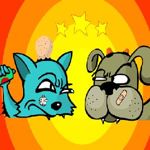 Cat vs Dog